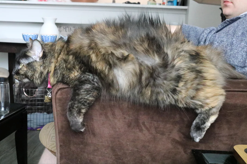 MOUN