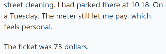 street cleaning. I had parked there at 10:18. On a Tuesday. The meter still let me pay, which feels personal. The ticket was 75 dollars.