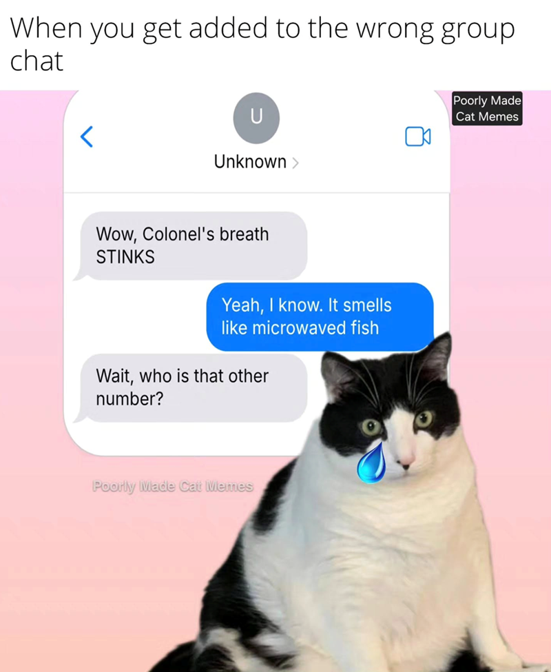 When you get added to the wrong group chat ୮ U Unknown > Wow, Colonel's breath STINKS Yeah, I know. It smells like microwaved fish Wait, who is that other number? Poorly Made Cat Memes Poorly Made Cat Memes