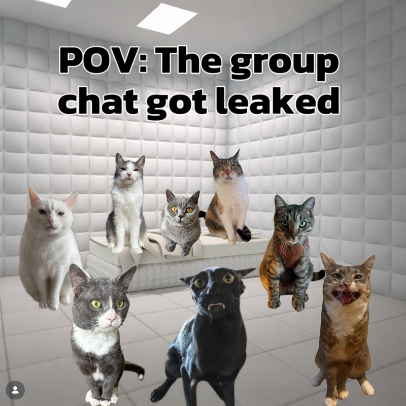 POV: The group chat got leaked