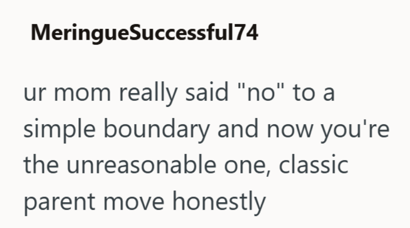 MeringueSuccessful74 ur mom really said "no" to a simple boundary and now you're the unreasonable one, classic parent move honestly