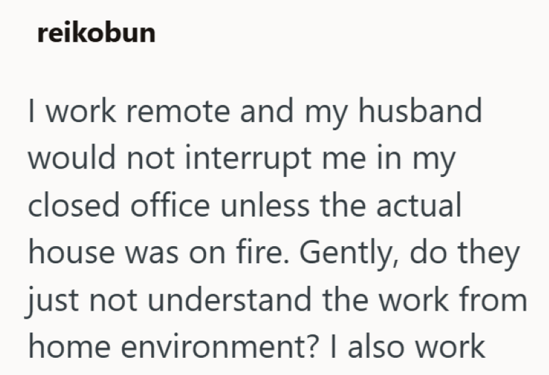 reikobun I work remote and my husband would not interrupt me in my closed office unless the actual house was on fire. Gently, do they just not understand the work from home environment? I also work
