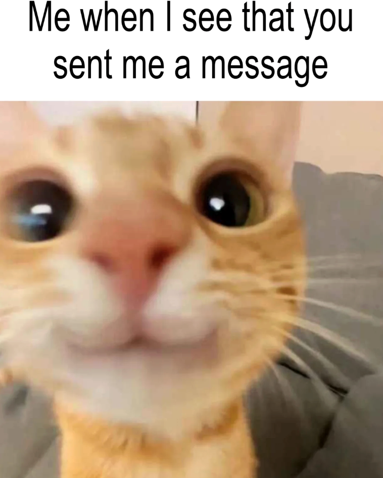 Me when I see that you sent me a message