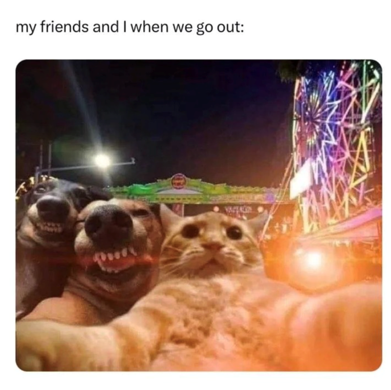 my friends and I when we go out: VASTAGN