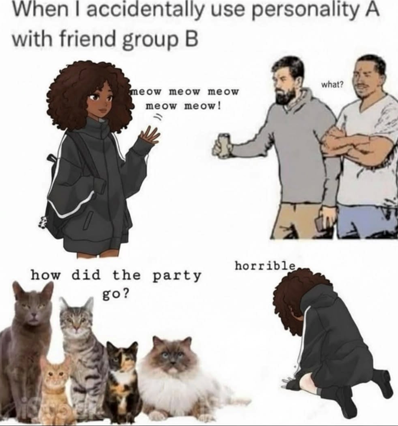 When I accidentally use personality A with friend group B what? meow meow meow meow meow! how did the party go? horrible