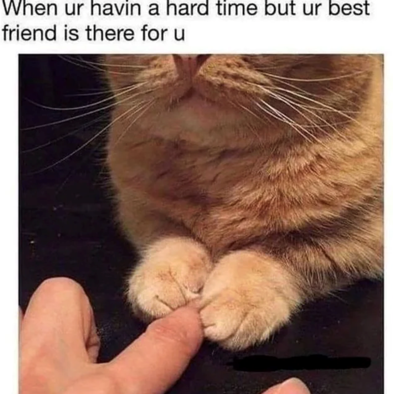 When ur havin a hard time but ur best friend is there for u