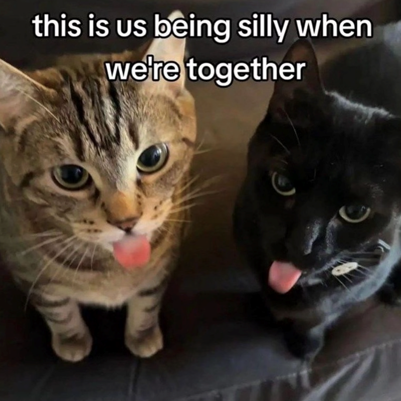 this is us being silly when we're together