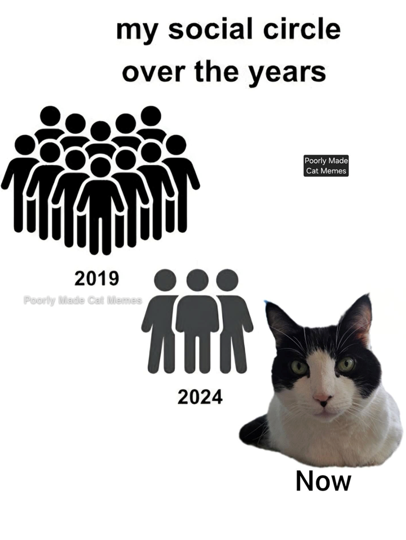 my social circle over the years 2019 Poorly Made Cat Memes 2024 Poorly Made Cat Memes Now