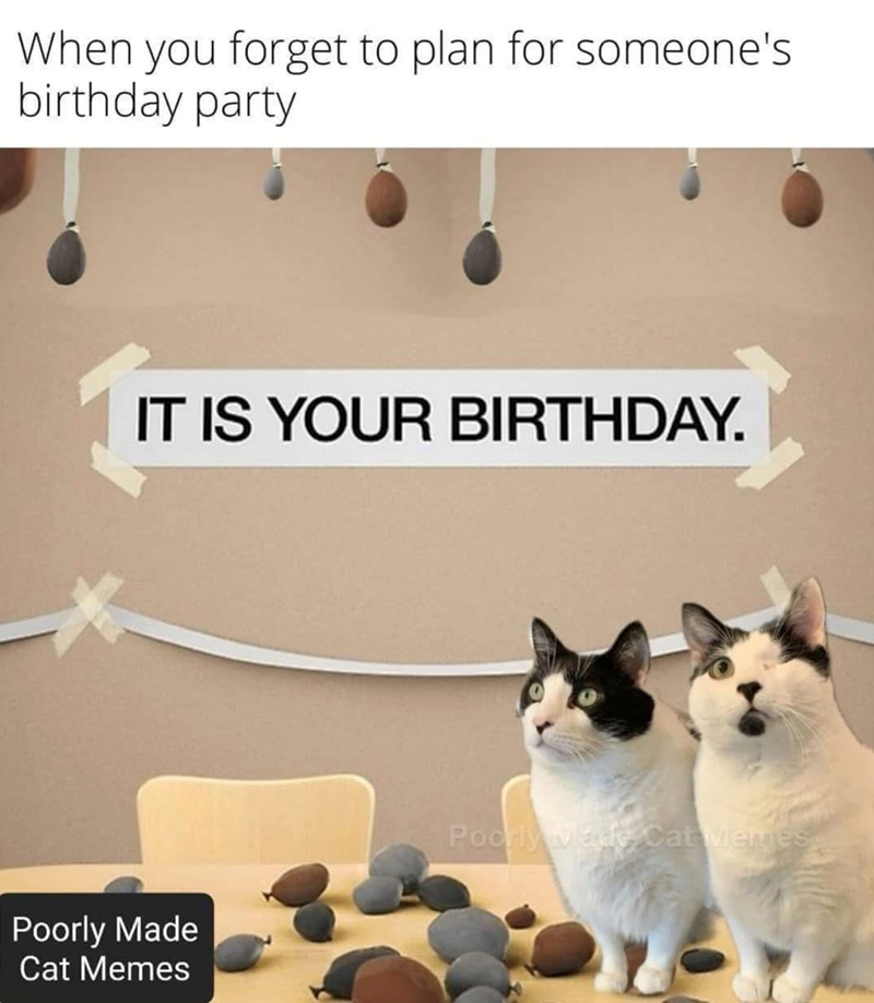When you forget to plan for someone's birthday party IT IS YOUR BIRTHDAY. Poorly Made Cat Memes Poorly Made Cat Memes