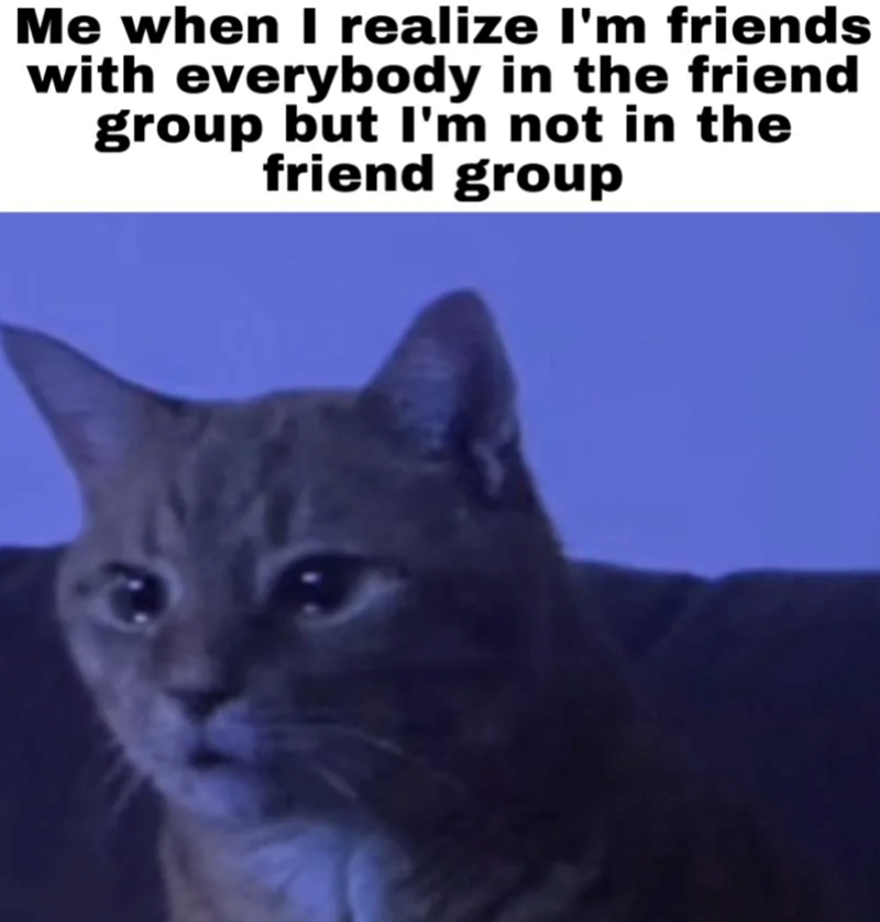 Me when I realize I'm friends with everybody in the friend group but I'm not in the friend group