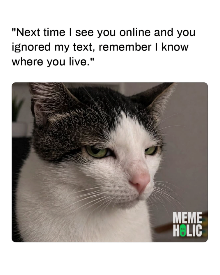 "Next time I see you online and you ignored my text, remember I know where you live." MEME HOLIC