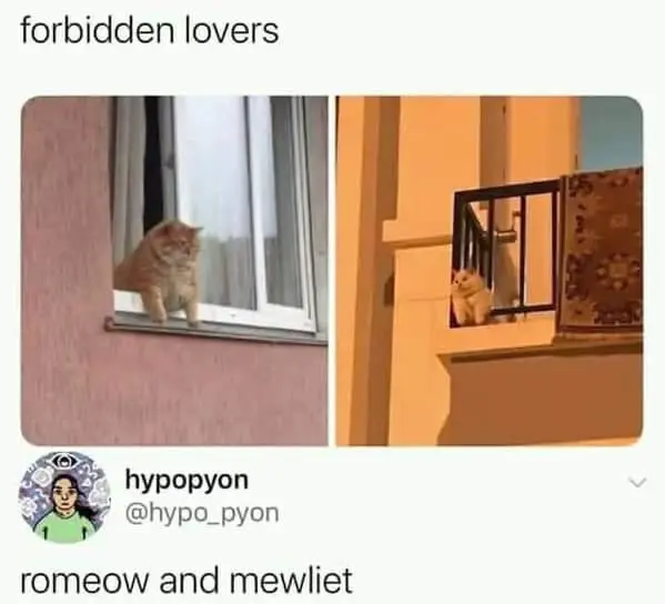 forbidden lovers hypopyon @hypo_pyon romeow and mewliet