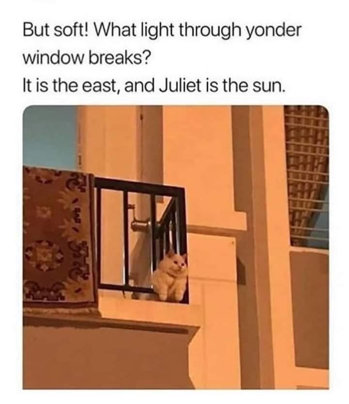 But soft! What light through yonder window breaks? It is the east, and Juliet is the sun.