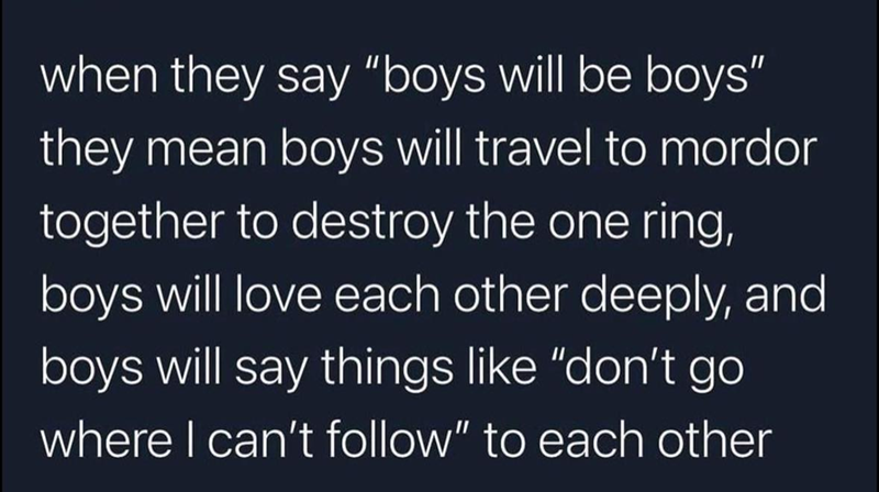 when they say "boys will be boys" they mean boys will travel to mordor together to destroy the one ring, boys will love each other deeply, and boys will say things like "don't go where I can't follow" to each other