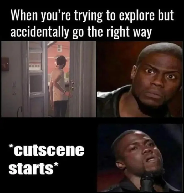 When you're trying to explore but accidentally go the right way *cutscene starts*