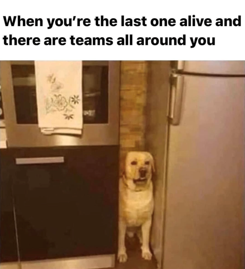 When you're the last one alive and there are teams all around you