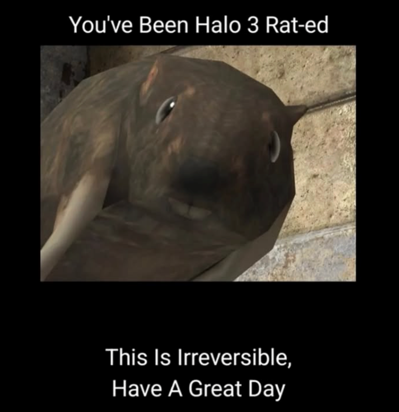 You've Been Halo 3 Rat-ed This Is Irreversible, Have A Great Day