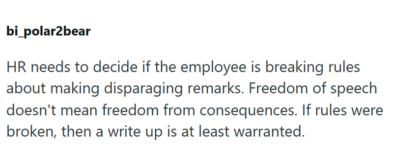 bi_polar2bear HR needs to decide if the employee is breaking rules about making disparaging remarks. Freedom of speech doesn't mean freedom from consequences. If rules were broken, then a write up is at least warranted.
