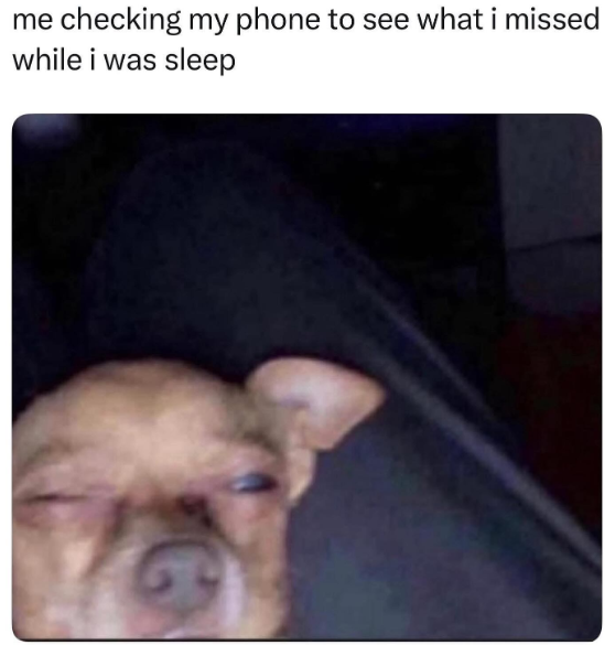me checking my phone to see what i missed while i was sleep