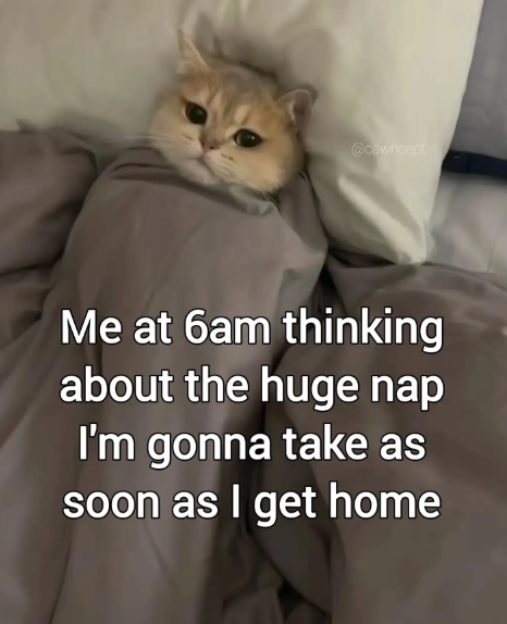 @cawncept Me at 6am thinking about the huge nap I'm gonna take as soon as I get home