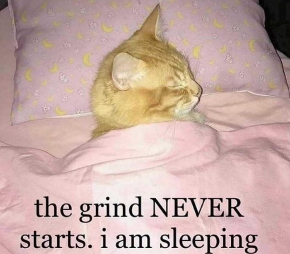 the grind NEVER starts. i am sleeping