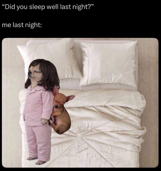 "Did you sleep well last night?" me last night: