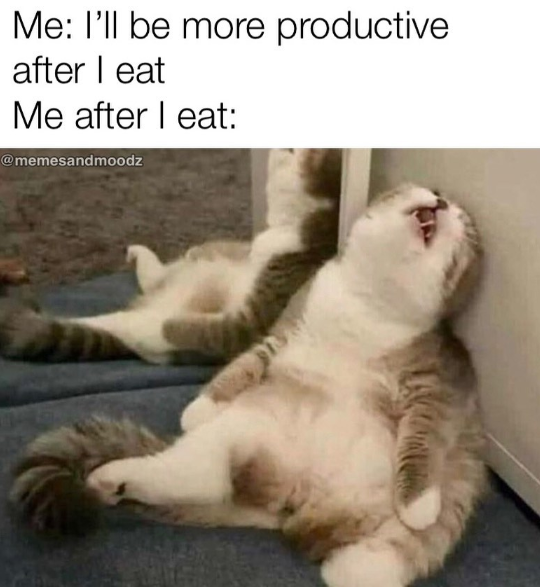 Me: I'll be more productive after I eat Me after eat: @memesandmoodz