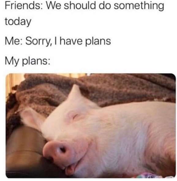 Friends: We should do something today Me: Sorry, I have plans My plans: