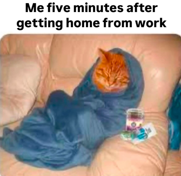 Me five minutes after getting home from work