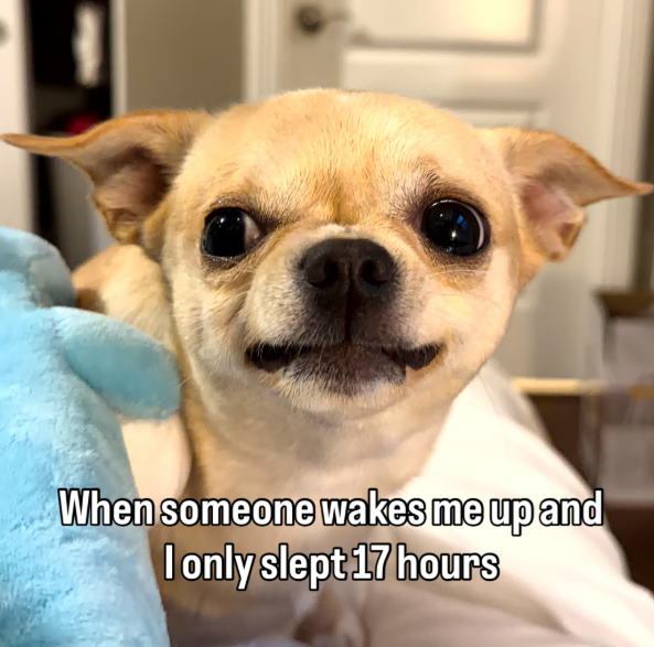 When someone wakes me up and I only slept 17 hours
