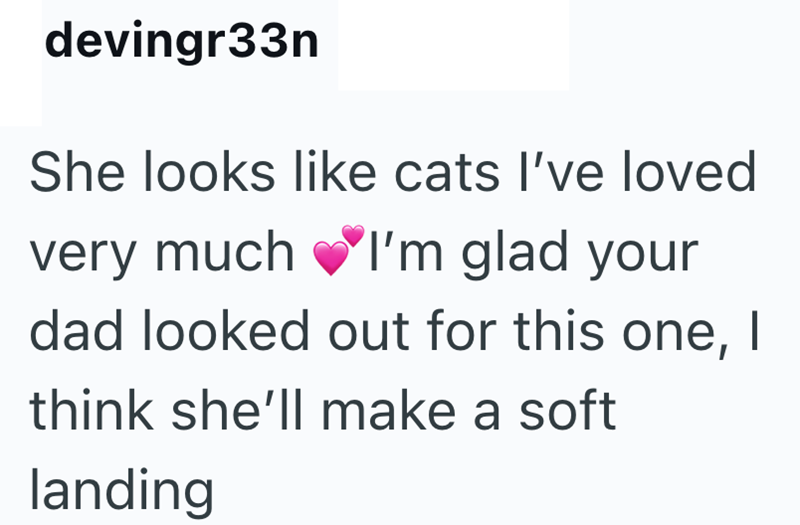 devingr33n She looks like cats I've loved very much ♥I'm glad your dad looked out for this one, | think she'll make a soft landing