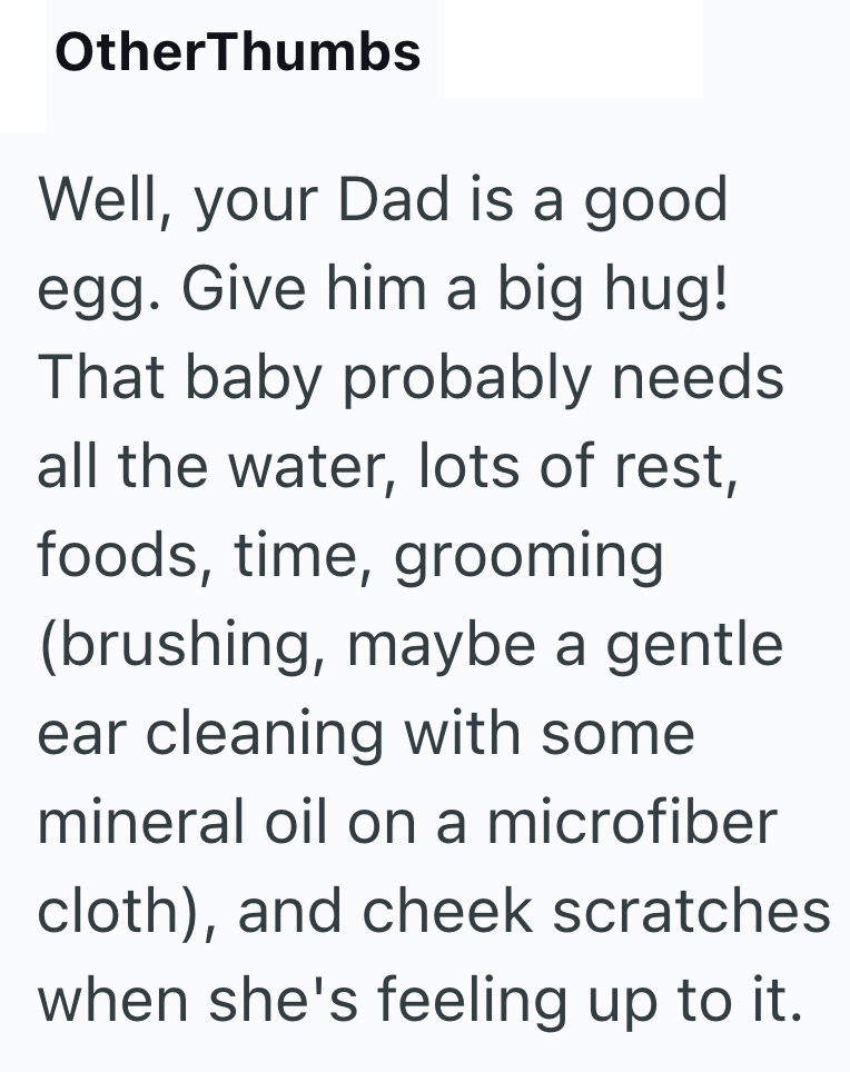 OtherThumbs Well, your Dad is a good egg. Give him a big hug! That baby probably needs all the water, lots of rest, foods, time, grooming (brushing, maybe a gentle ear cleaning with some mineral oil on a microfiber cloth), and cheek scratches when she's feeling up to it.