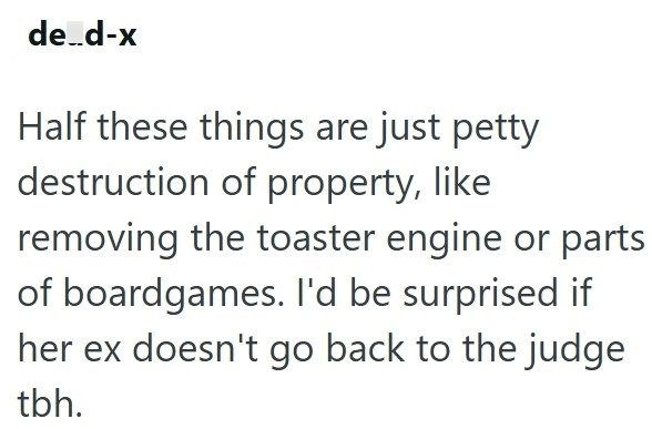 de_d-x Half these things are just petty destruction of property, like removing the toaster engine or parts of boardgames. I'd be surprised if her ex doesn't go back to the judge tbh.