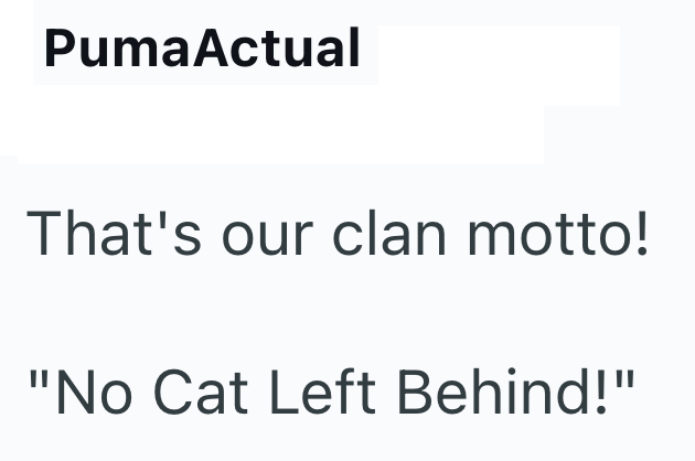 PumaActual That's our clan motto! "No Cat Left Behind!"