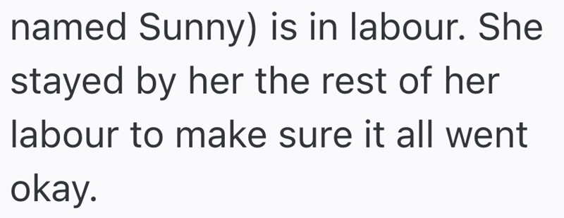 named Sunny) is in labour. She stayed by her the rest of her labour to make sure it all went okay.