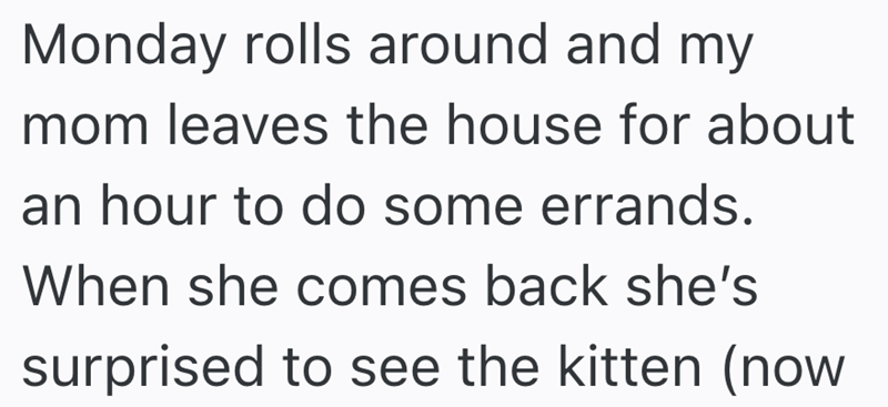 Monday rolls around and my mom leaves the house for about an hour to do some errands. When she comes back she's surprised to see the kitten (now