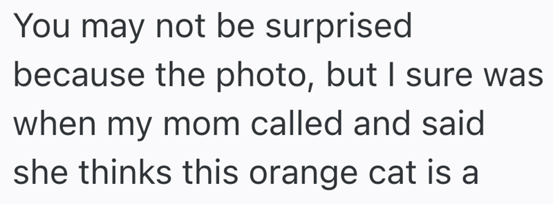 You may not be surprised because the photo, but I sure was when my mom called and said she thinks this orange cat is a
