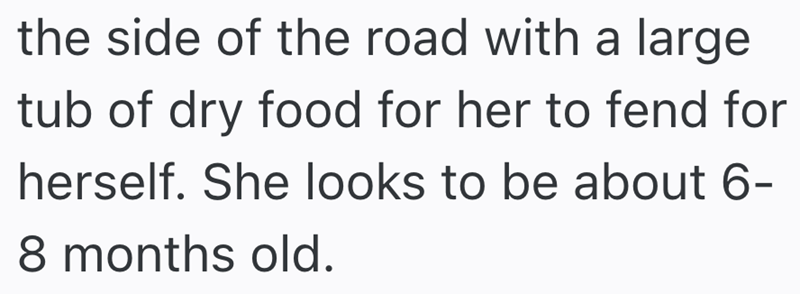 the side of the road with a large tub of dry food for her to fend for herself. She looks to be about 6- 8 months old.