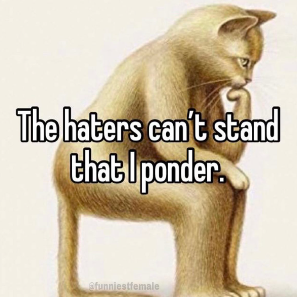 The haters can't stand that I ponder tl @funniestfemale