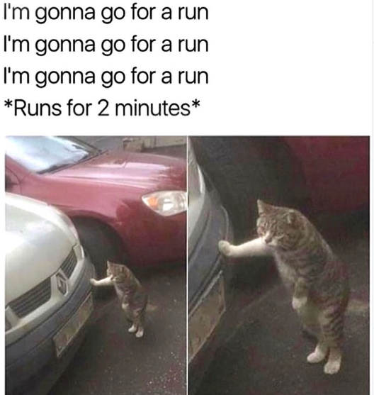 I'm gonna go for a run I'm gonna go for a run I'm gonna go for a run *Runs for 2 minutes*