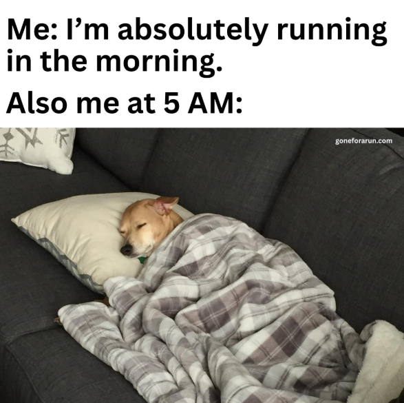 Me: I'm absolutely running in the morning. Also me at 5 AM: goneforarun.com