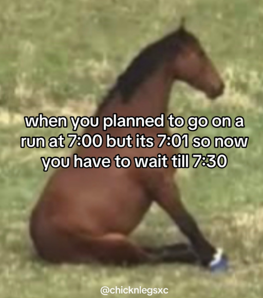 when you planned to go on a run at 7:00 but its 7:01 so now you have to wait till 7:30 @chicknlegsxc