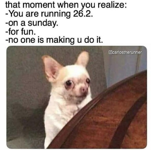 that moment when you realize: -You are running 26.2. -on a sunday. -for fun. -no one is making u do it. Ocarlostherunner