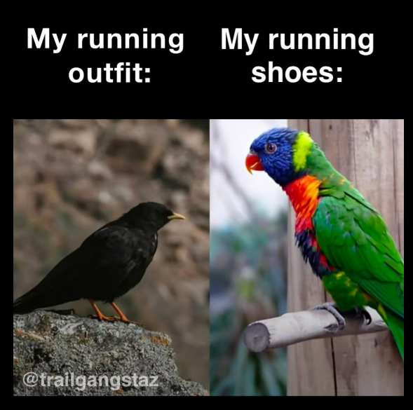 My running My running outfit: @trailgangstaz shoes: