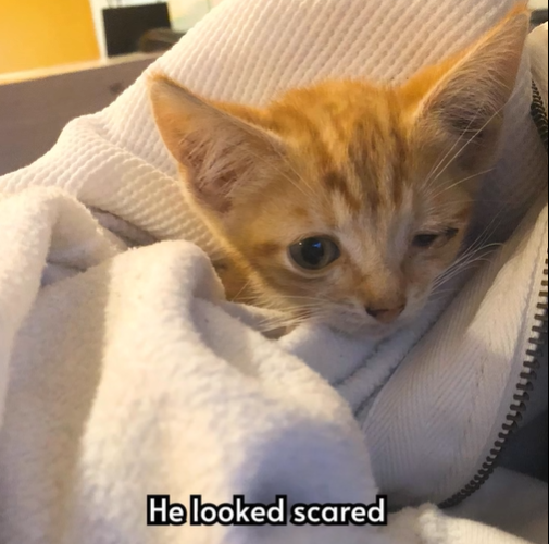 He looked scared