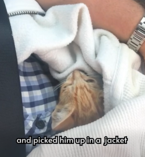 and picked him up in a jacket