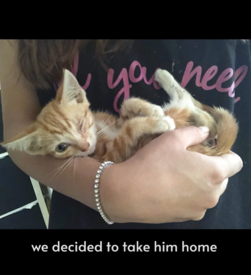 your heel we decided to take him home