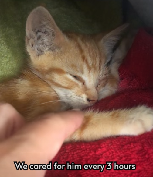 We cared for him every 3 hours