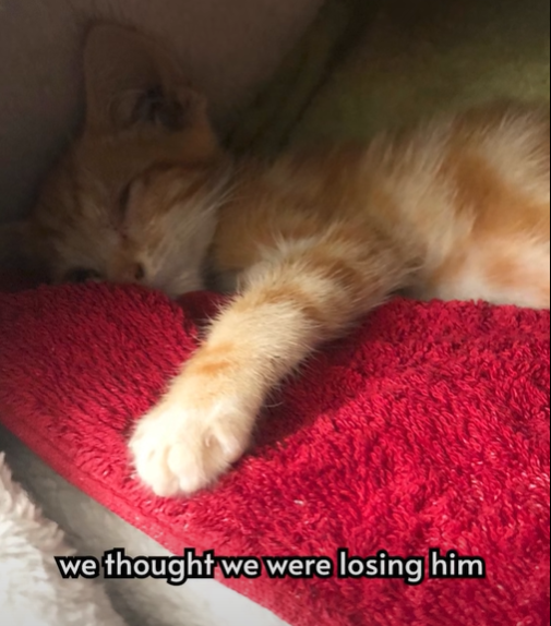 we thought we were losing him
