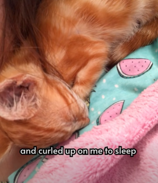 and curled up on me to sleep